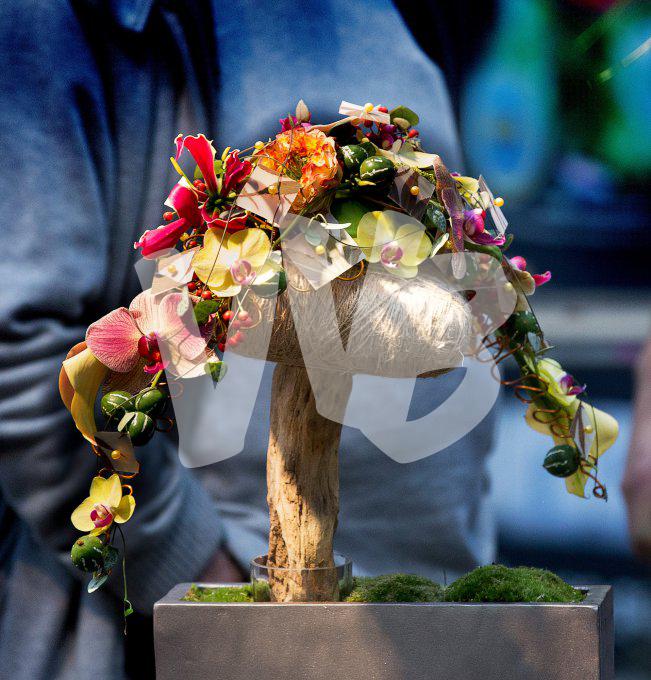 bloemen en planten vvbvanbree     1130